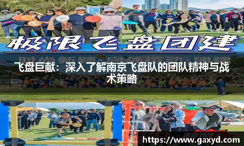 飞盘巨献：深入了解南京飞盘队的团队精神与战术策略